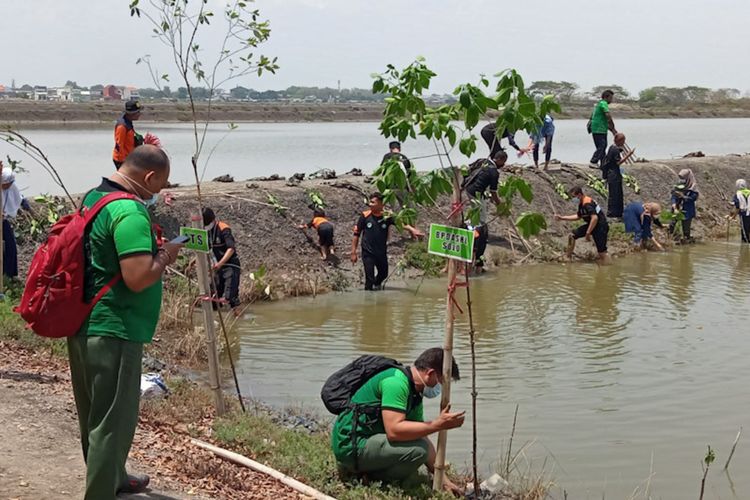 Agenda restorasi lahan mangrove yang dilaksanakan di Kawasan Kalimireng, Desa Manyarsidomukti, Kecamatan Manyar, Gresik, Kamis (28/10/2021).