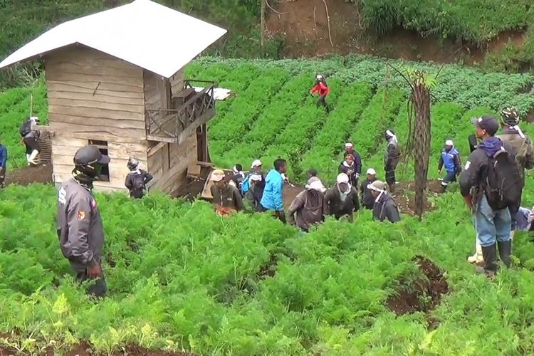 Ratusan petani binaan PTPN melakukan protes alih fungsi lahan perkebunan teh Pangalengan yang dijadikan tanaman sayuran dan wortel, mereka mencabuti tanaman sayuran dan membakar gubuk yang diduga digunakan para pelaku penggundulan kebub teh, Selasa (22/5/2025)