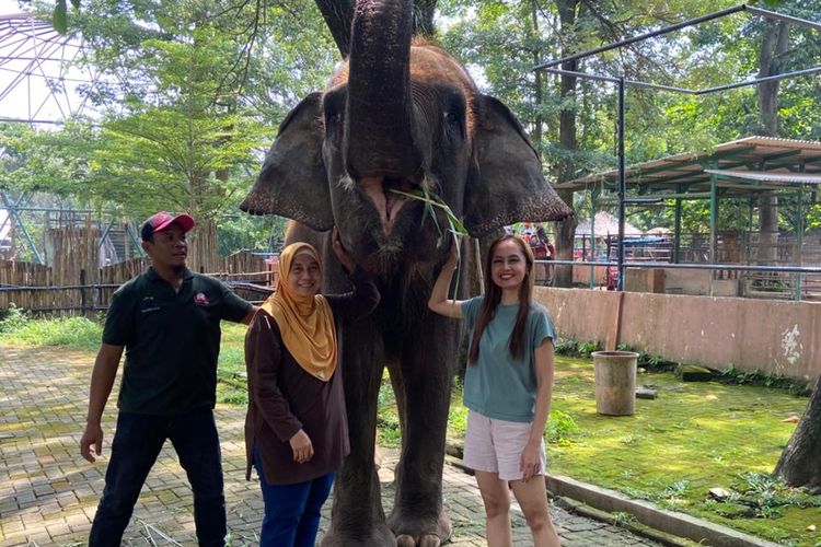 Setelah Gajah Dirantai Viral, Semarang Zoo Kini Belajar “Mendengar” Satwa
