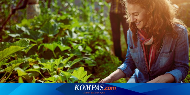 Nikmati Manfaat Berkebun, Rileksasi hingga Tumbuhkan Rasa Peduli