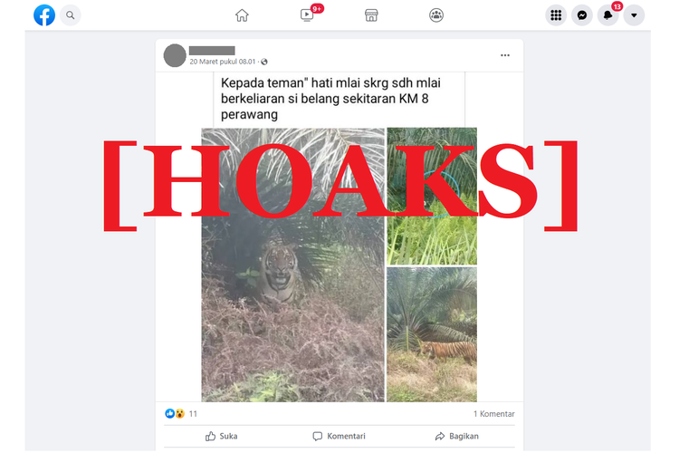 Tangkapan layar unggahan hoaks di sebuah akun Facebook, mengenai harimau yang berkeliaran di km 8 Perawang.