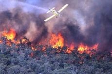 Kobaran Api hingga 10 Hektar, Kebakaran Hutan di Gunung Talang Mulai Reda