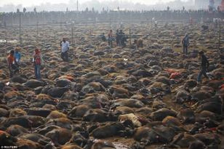 Pemotongan hewan secara massal di Nepal