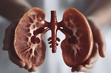 Mendikdasmen: Bahasa Portugis Siap Jadi Pilihan Baru di Sekolah, Tunggu Persiapan Guru dan Fasilitas