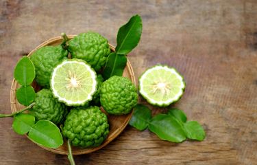 Daun Jeruk Purut, Manfaatnya Seharum Wanginya Halaman All - Kompas.com