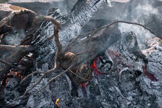 Teknologi Pemadaman Kebakaran Hutan, Mulai dari Water Bombing hingga Inovasi Satelit 
