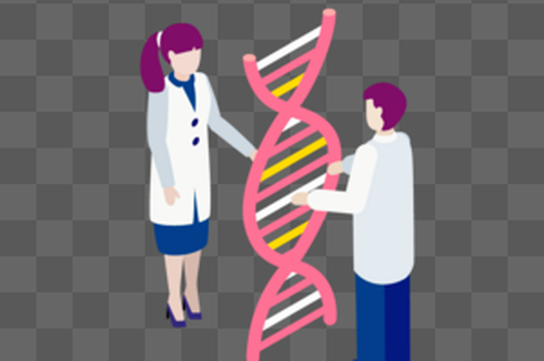 Soal UAS Biologi: Kode Genetik