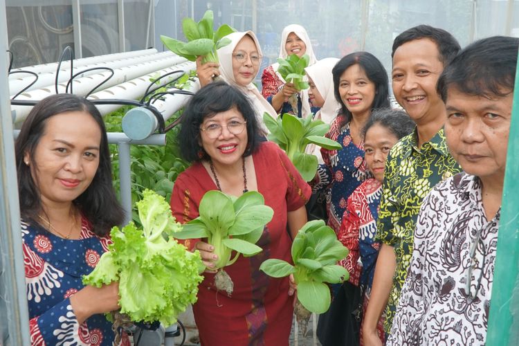 Hasil Smart Farming UKSW Digunakan Melawan Stunting