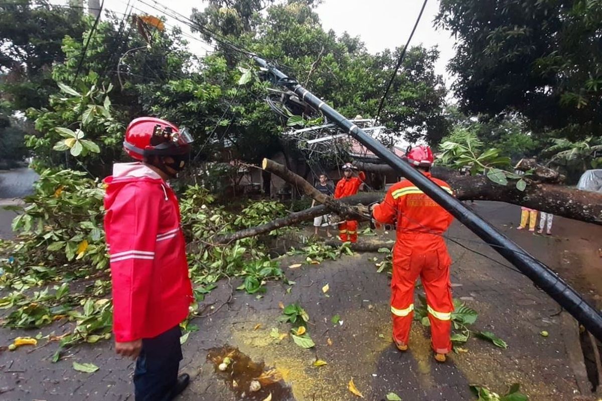 Sebuah pohon di Jalan Moh. Kahfi 1 RT 007 RW 06, Jagakarsa, Jakarta tumbang pada Rabu (2/9/2020) sore.