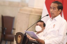 Tugas Baru Jokowi Mencari Pengganti Lili Pintauli
