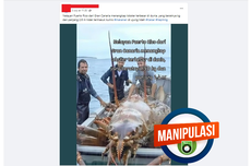 INFOGRAFIK: Gambar Perlihatkan Lobster yang Diklaim Terbesar di Dunia, Diprediksi Manipulasi AI