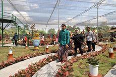 Taman Aglaonema Terbesar Indonesia di Sleman, Ini Jam Buka dan Harga Tiket Masuknya