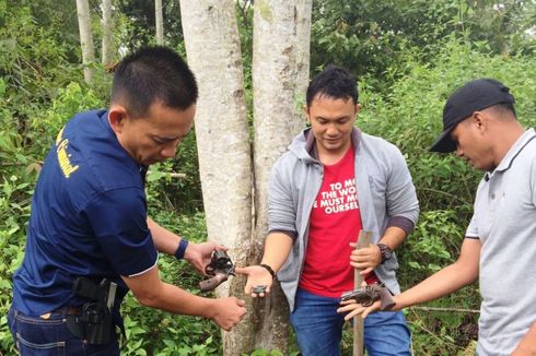 Kapolres Lhokseumawe Gali Tanah Temukan Dua Senjata Api