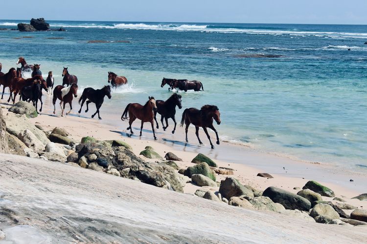 Ada dari Indonesia! Ini 25 Pulau Terbaik di Dunia 2026 Versi Travel + Leisure