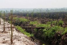Kementerian LH: Hutan yang Dikelola Masyarakat Minim Titik Api