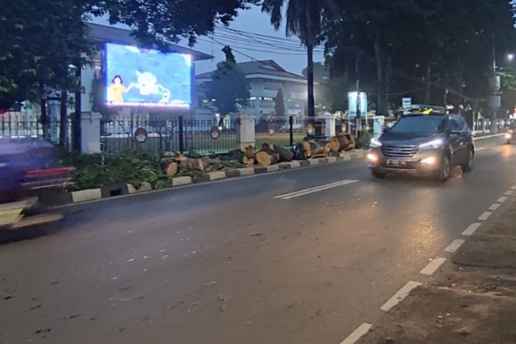 Lokasi pohon tumbang dan timpa truk yang sedang melintas di Jalan Ampera Raya, Cilandak Timur, Pasar Minggu, Jakarta Selatan, Rabu (7/9/2022). Saat ini pohon dan truk telah dievakuasi. Arus lalu lintas di lokasi kembali normal.