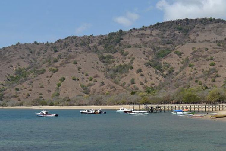 Beberapa kapal cepat yang membawa wisatawan bersandar di salah satu dermaga di Pulau Komodo, Kecamatan Komodo, Manggarai Barat, Nusa Tenggara Timur, Kamis (19/11/2015) pagi.