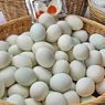 Mengenal Manfaat dan Efek Samping Telur Bebek