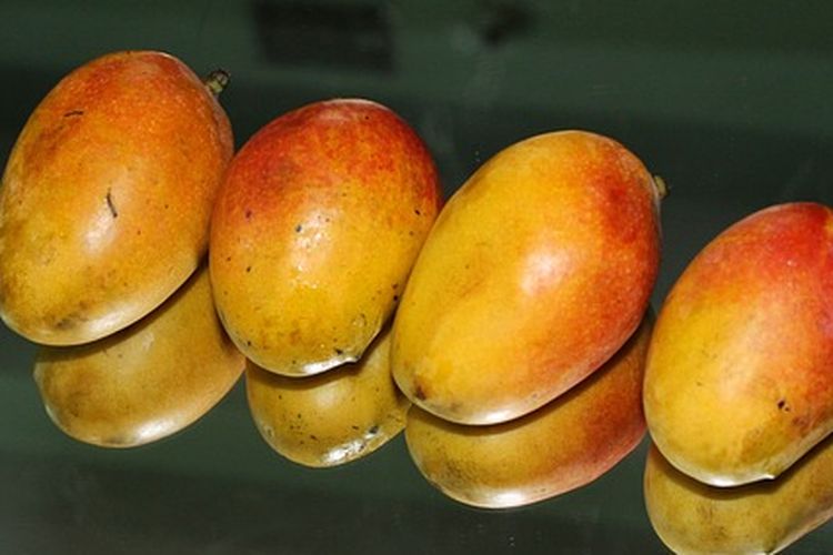 Ilustrasi buah mangga merah