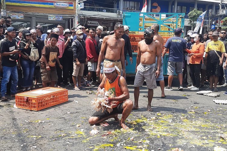 Ratusan Peternak Ayam Demo, Lempari Kantor Bupati Pati dengan Telur dan Makan Ayam Hidup