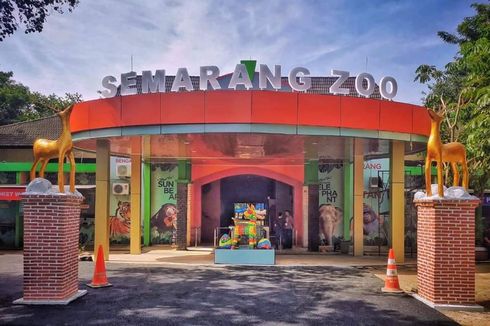 Semarang Zoo Kembali Buka, Ada Penghuni Baru