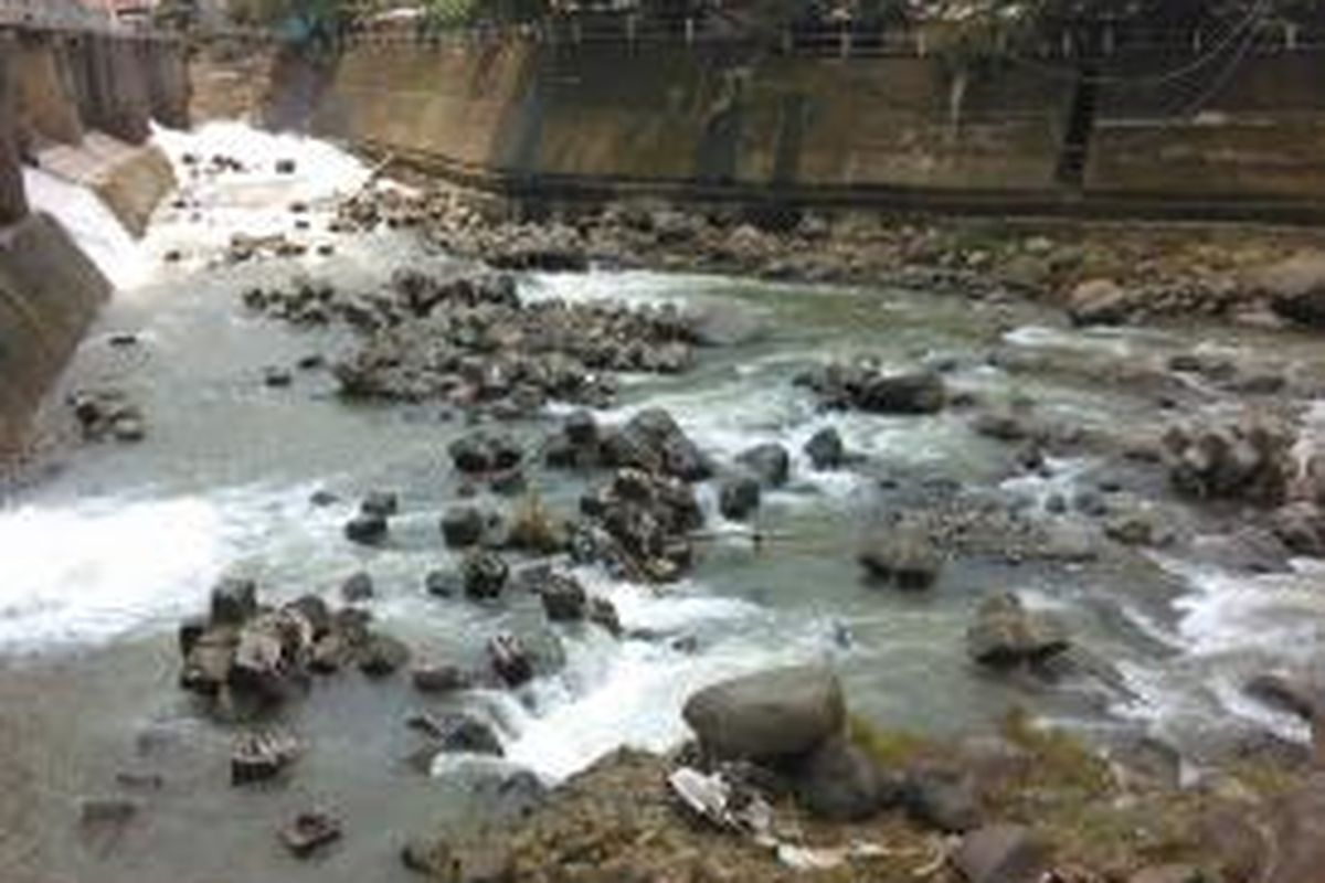 Beberapa hexapod berada di tengah-tengah sungai di sekitar Bendung Katulampa. Keberadaannya yang seolah-olah diacak menyatu dengan keberadaan batu kali di sekitarnya.