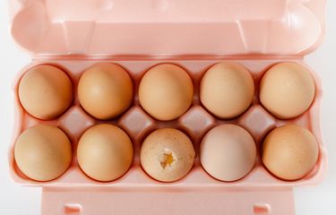 Alasan telur retak tidak boleh dikonsumsi, salah satunya karena mengandung bakteri. 