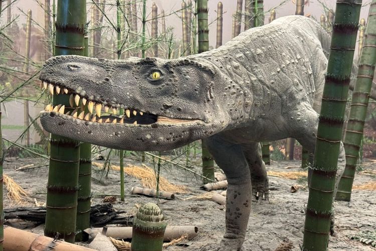Fosil Berusia 252 Juta Tahun Ungkap Kehidupan di Zaman Triassic