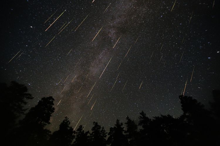 Ilustrasi puncak hujan meteor Puppid-Velid. Fenomena hujan meteor yang akan hiasi langit Indonesia, Selasa (7/12/2021) malam.