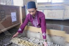 Berkat Jangkrik, Lulusan ITB Ini Raup Omzet hingga Rp 500 Juta Per Bulan