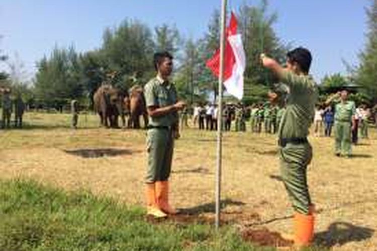 Suasana upacara Kemerdekaan RI Ke-71 di halaman BDC Taman Safari Indonesia di Batang, Jawa Tengah melibatkan puluhan koleksi satwa.