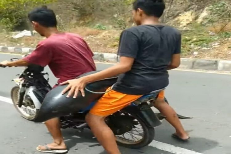 Dua pemuda saat membawa satwa laut dilindungi dengan menggunakan sepeda motor