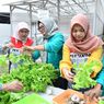 Program Hidroponik Berbasis PLTS Dukung Inisiatif Green Terminal Tanjung Sekong