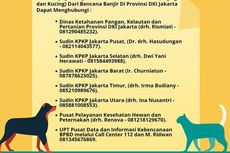 Ini Penyakit yang Rentan Serang Anjing Saat Banjir