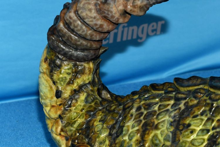 Tampilan close-up kostum Heidi Klum saat Pesta Halloween Tahunan ke-24 miliknya yang dipersembahkan oleh Butterfinger dan Huluween di Disney+, bertempat di Hard Rock Hotel New York pada 31 Oktober 2025 di New York City.
Noam Galai/Getty Images untuk Heidi Klum Halloween/AFP (Foto oleh Noam Galai / GETTY IMAGES NORTH AMERICA / Getty Images melalui AFP)