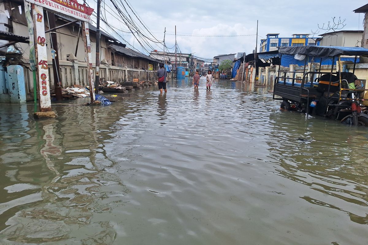 Muara Angke Kembali Terendam Banjir Rob, Ketinggian Air Capai 60 Cm