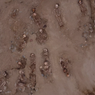 Bukti Ritual Pengorbanan Anak dari Milenium Pertama Masehi Ditemukan di Peru