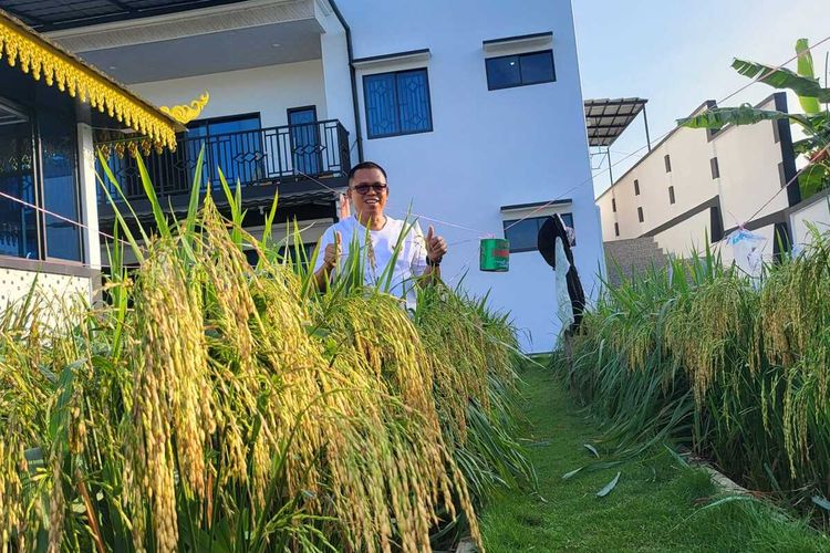Kementerian Pertanian Republik Indonesia memuji keberhasilan warga Tanjungpinang, Kepulauan Riau (Kepri) memperkenalkan tanaman padi di lahan yang notabene bauksit.