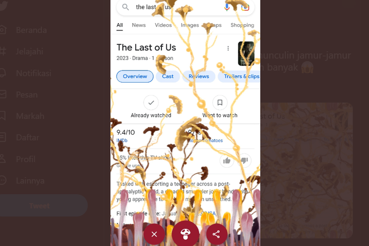 Jamur Cordyceps yang muncul di serial The Last of Us dan fitur google.