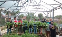 Jaga Ketahanan Pangan, Pemkot Semarang Dorong Pemanfaatan Lahan Tidur untuk “Urban Farming”