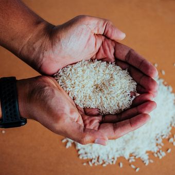 Ilustrasi beras.  Harga beras di sejumlah wilayah Sulawesi Selatan (Sulsel) melonjak tajam hingga menembus angka Rp17.000 per kilogram, tertinggi sepanjang sejarah pada pertengahan 2025.