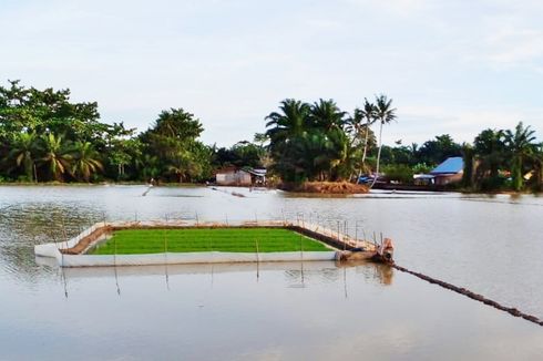 Tak Sesuai Rencana Tata Ruang, Peta Lahan Sawah Dilindungi Direvisi