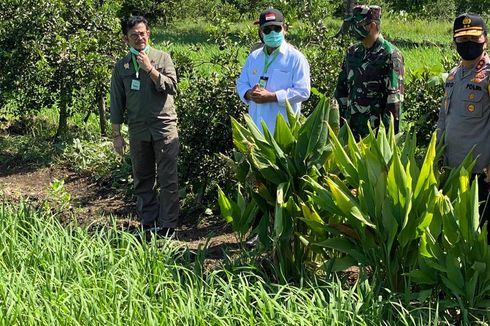 Kementan Perbaiki Infrastruktur Air untuk Optimasi Lahan Rawa