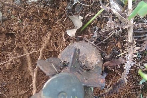 Seorang Petani Karet Temukan Mortir Saat Membersihkan Lahan, Diduga Sisa Perang Dunia II