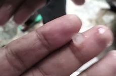 Biaya Haji 2026 Disebut Masih Bisa Ditekan, Kontrak Penerbangan dan Syarikah Bakal Dikaji