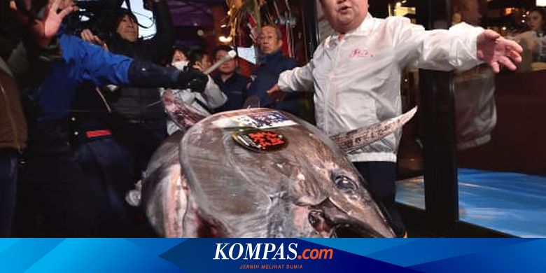 Seekor Ikan Tuna Di Jepang Laku Dijual Rp 25 Miliar