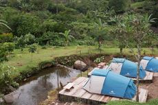 Main ke Puncak, Bisa Kemah di Tepi Sungai dengan Pemandangan Hijau