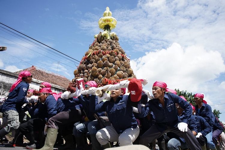 Pemerintah Kabupaten (Pemkab) Kediri menggelar kontes durian untuk membuat komoditas pertanian semakin berkembang dan mempromosikan durian asli Puncu. 