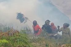 Savana Bromo dan Puncak B29 Ditutup Dampak TNBTS Kebakaran