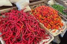 Harga Cabai Rawit Merah dan Keriting di Pasar Koja Baru Tembus Rp 100.000 Per Kilogram